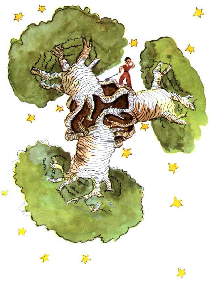 [figure-017-p015.jpg]