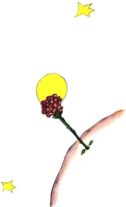 [figure-019-p019.jpg]