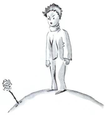 [figure-020-p020.jpg]