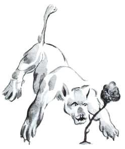 [figure-022-p021.jpg]