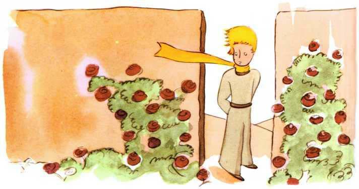 [figure-036-p045.jpg]