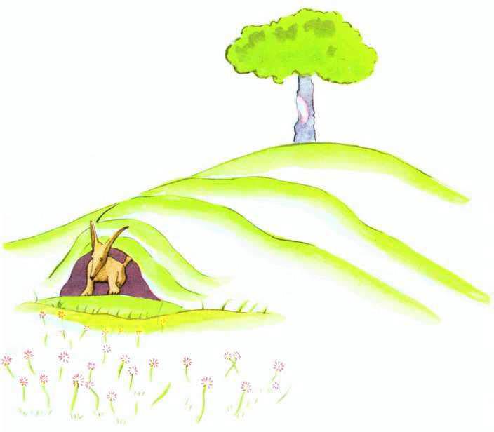 [figure-040-p049.jpg]